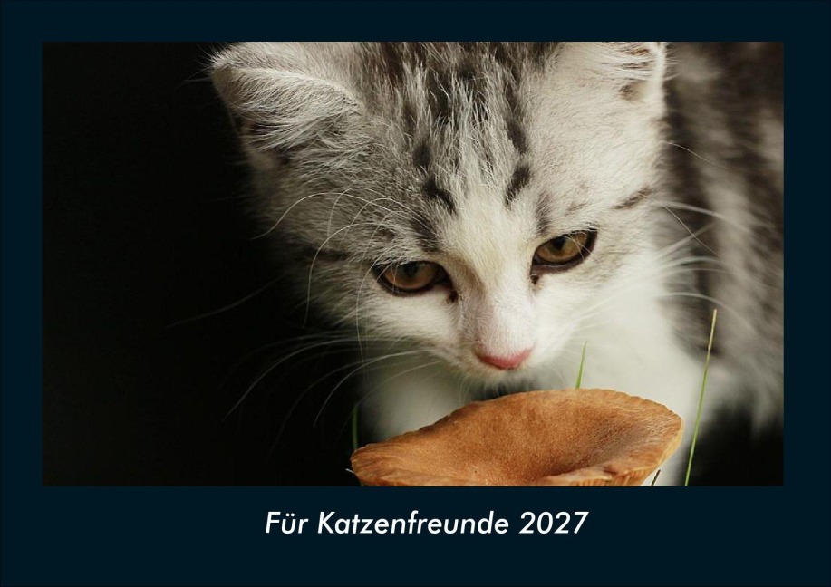 Für Katzenfreunde 2027 Fotokalender DIN A4 - Tobias Schmitt, Kevin Heber