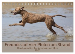 Cover-Bild zum Titel 'Freunde auf vier Pfoten am Strand (Tischkalender 2026 DIN A5 quer), CALVENDO Monatskalender' von 'Gerhard Bittner'