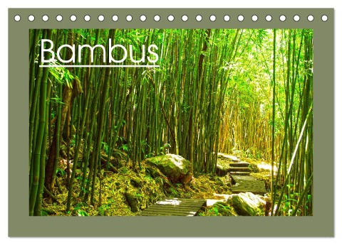 Bambus (Tischkalender 2024 DIN A5 quer), CALVENDO Monatskalender - Crystallights By Sylvia Seibl
