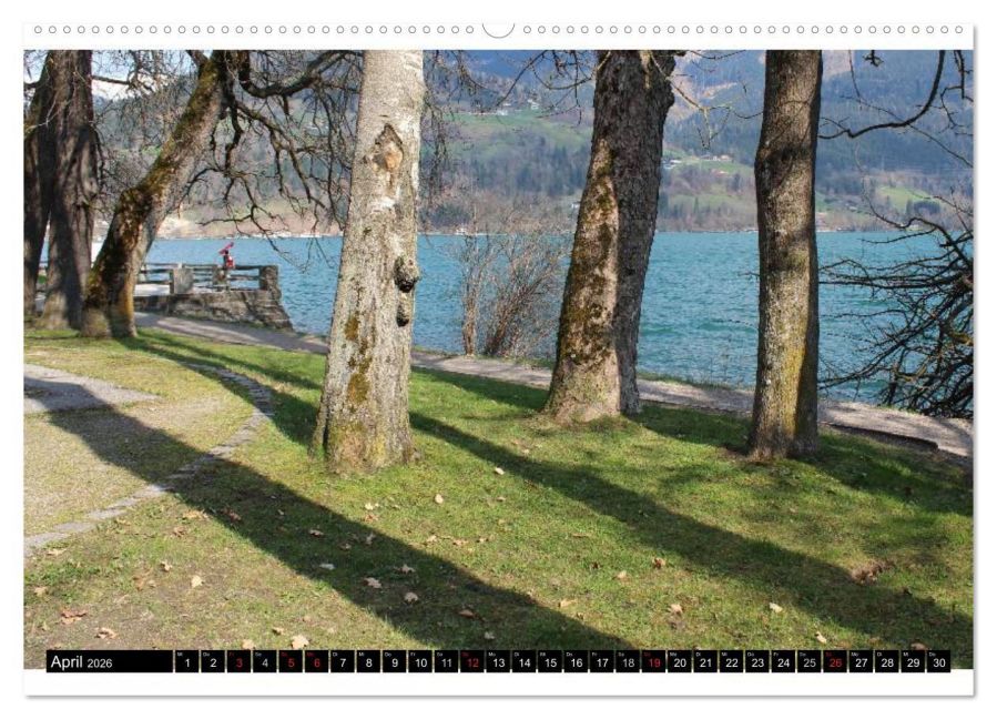 InsideView 8