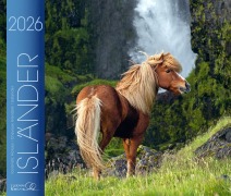 Isländer 2026 - 