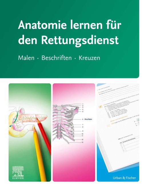 Anatomie lernen für den Rettungsdienst - 