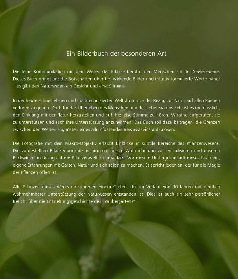 InsideView 6