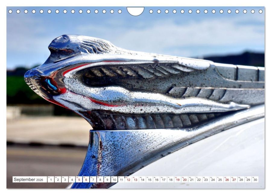 InsideView 14