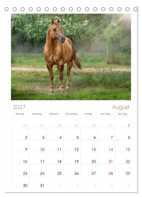 InsideView 12