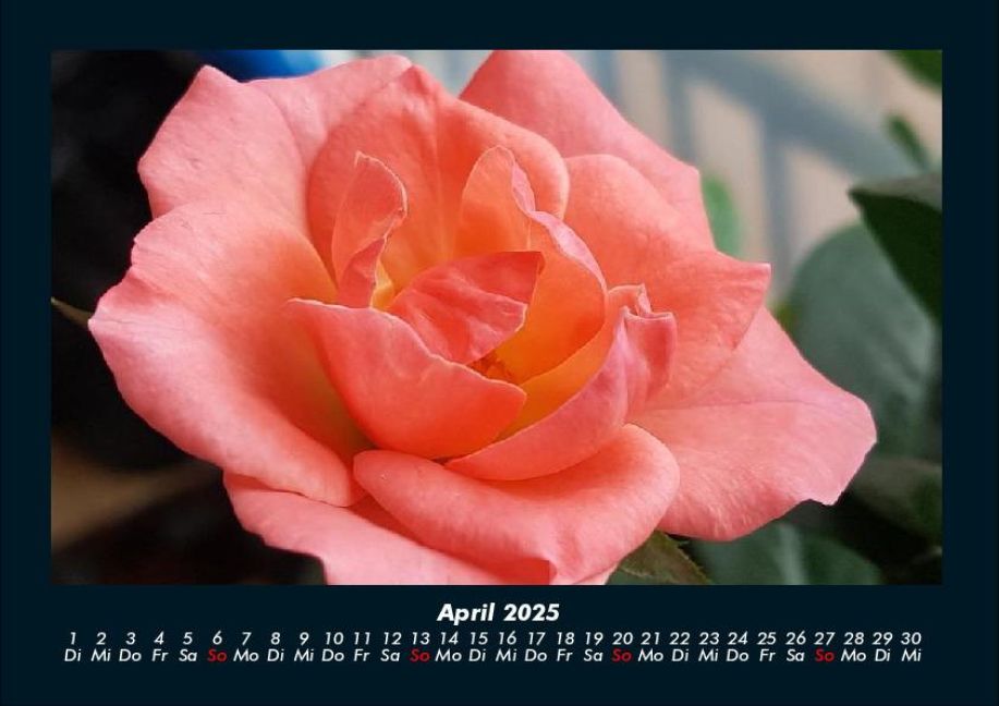 InsideView 8