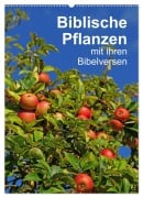 Biblische Pflanzen mit ihren Bibelversen (Wandkalender 2026 DIN A2 hoch), CALVENDO Monatskalender - Hans-Georg Vorndran
