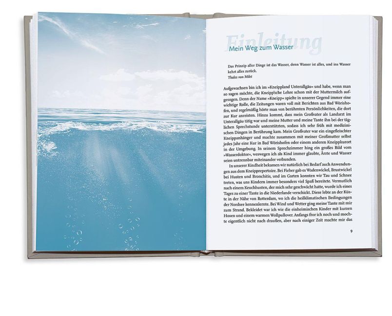 InsideView 4