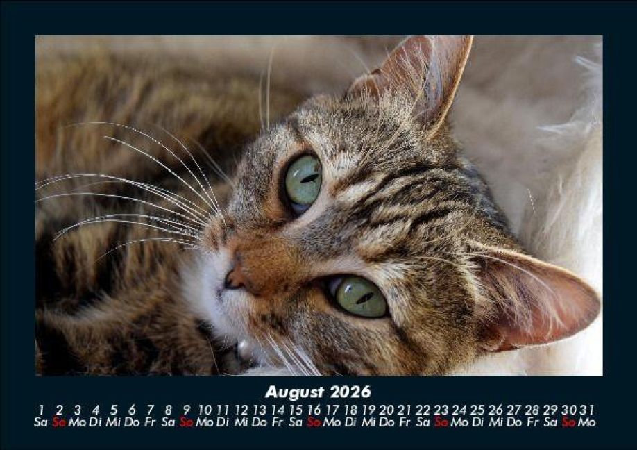 InsideView 12