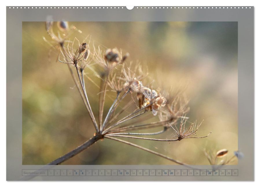 InsideView 14