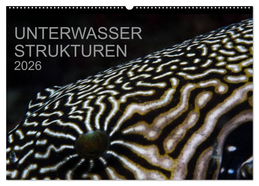 Unterwasser Strukuren (Wandkalender 2026 DIN A2 quer), CALVENDO Monatskalender - Karsten Schulze