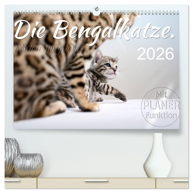 Die Bengalkatze. Edition Jungtiere (hochwertiger Premium Wandkalender 2026 DIN A2 quer), Kunstdruck in Hochglanz - Sylvio Banker
