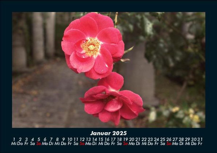 InsideView 5