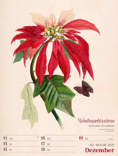 InsideView 54