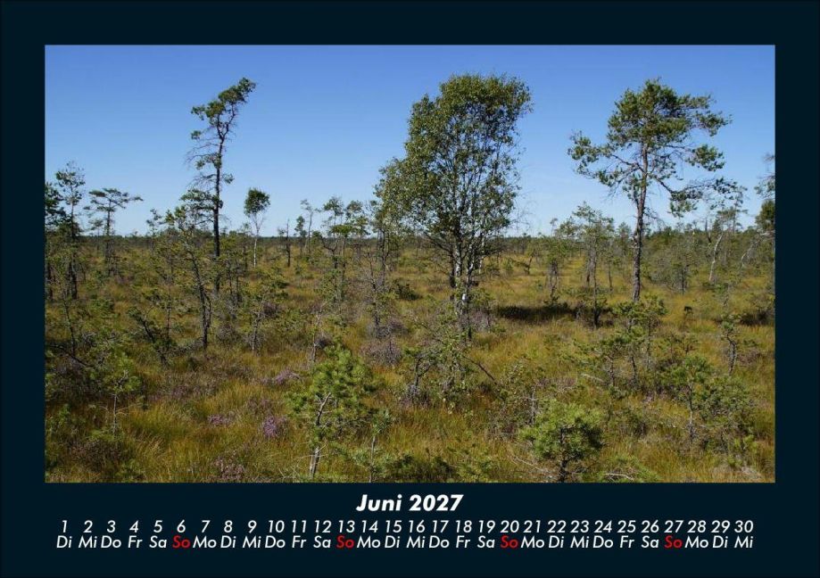 InsideView 10