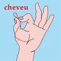 Cover-Bild zum Titel 'Cheveu' von 'Cheveu'