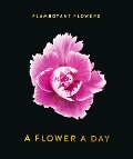 Flamboyant Flowers - 