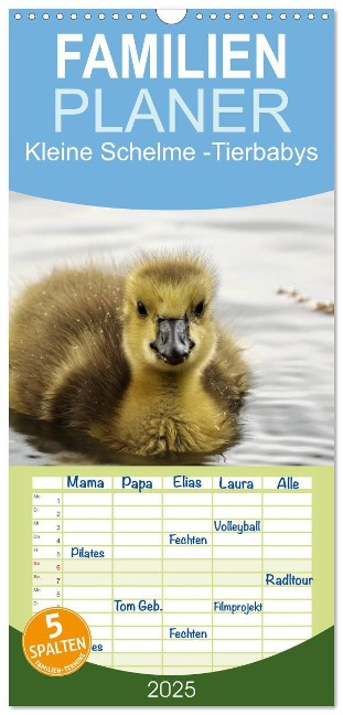 Familienplaner 2025 - Kleine Schelme - Tierbabys mit 5 Spalten (Wandkalender, 21 x 45 cm) CALVENDO - Sigrun Düll