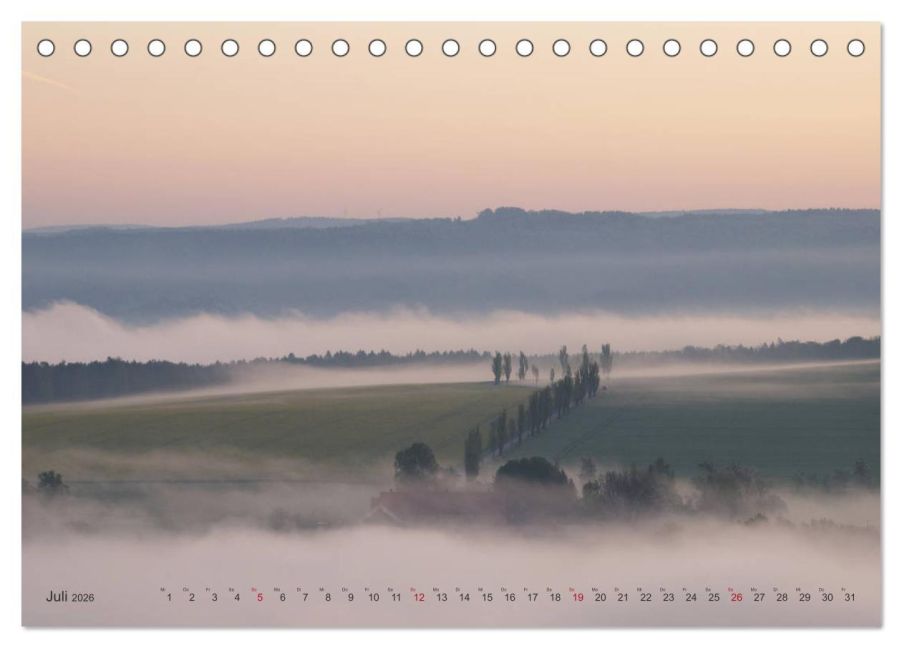 InsideView 12