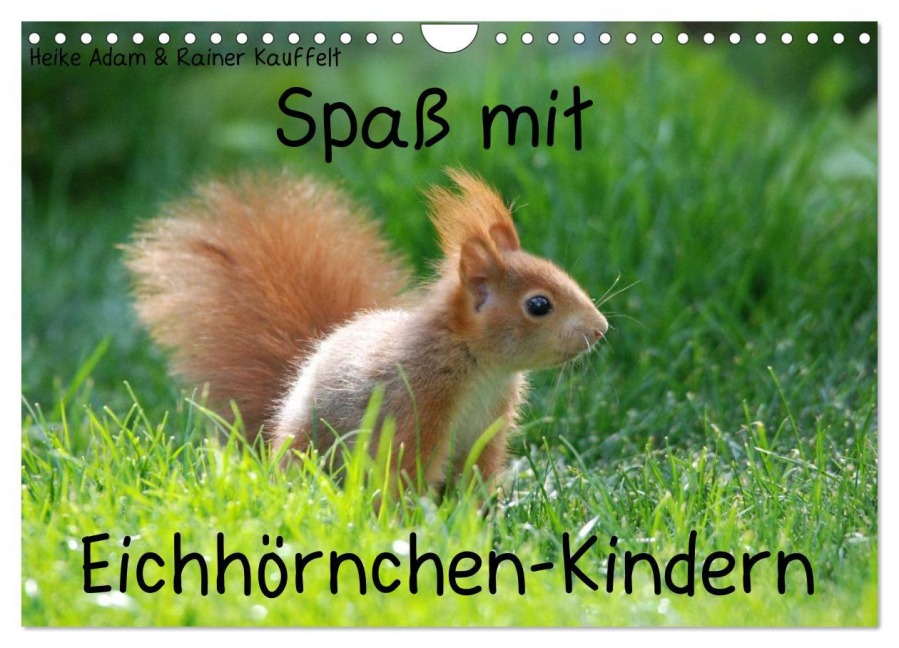 Spaß mit Eichhörnchen-Kindern (Wandkalender 2026 DIN A4 quer), CALVENDO Monatskalender - Heike Adam