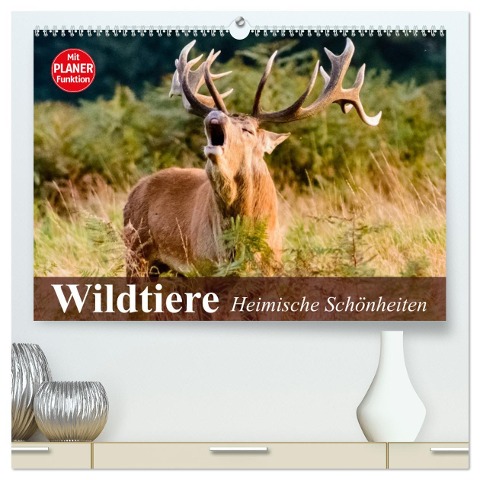 Wildtiere. Heimische Schönheiten (hochwertiger Premium Wandkalender 2025 DIN A2 quer), Kunstdruck in Hochglanz - Elisabeth Stanzer