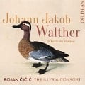 Cover-Bild zum Titel 'Scherzi da violino' von 'Bojan/The Illyria Consort Cicic'
