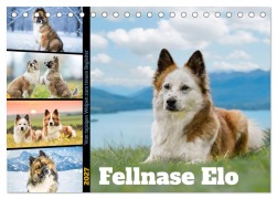 Cover-Bild zum Titel 'Fellnase Elo. Vom tapsigen Welpen zum treuen Begleiter (Tischkalender 2027 DIN A5 quer), CALVENDO Monatskalender' von 'Jana K. Fotografie'