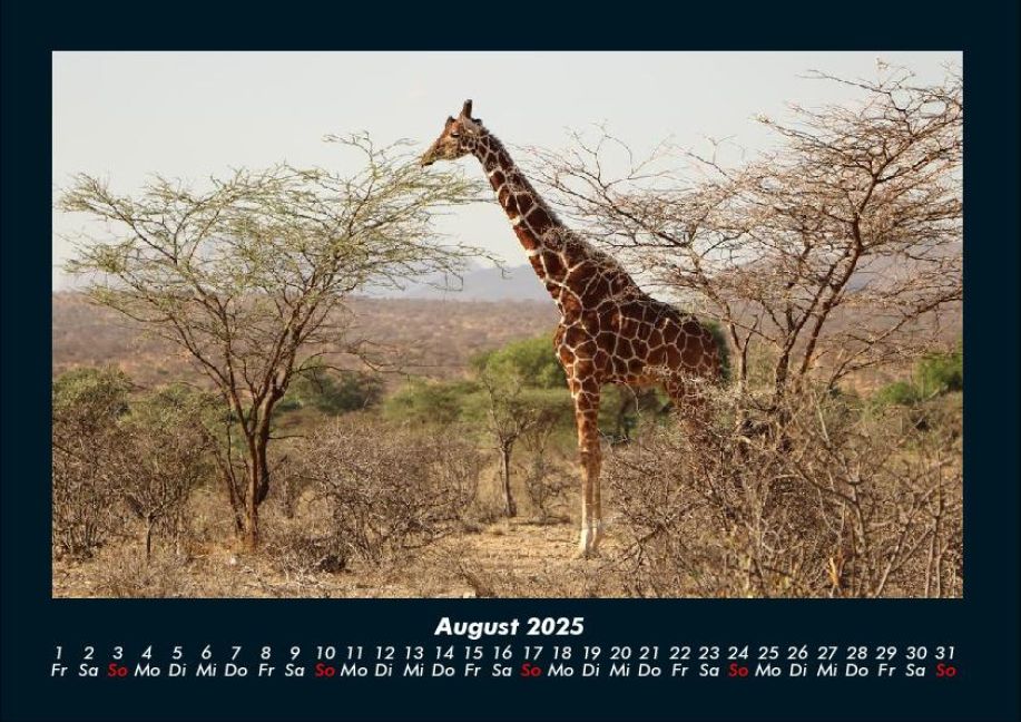 InsideView 12