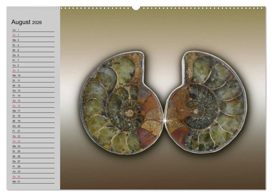 InsideView 13