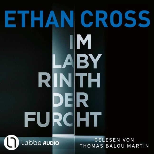 Im Labyrinth der Furcht - Ethan Cross