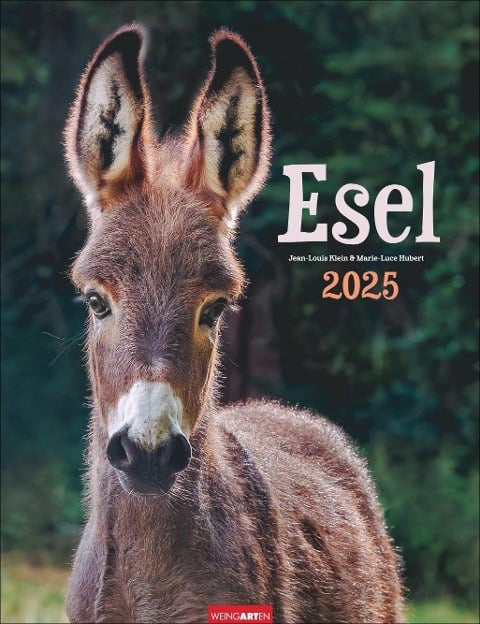 Esel Kalender 2025 - 