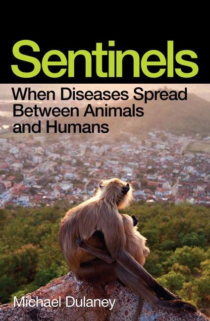 Sentinels - Michael Dulaney