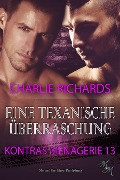 Cover-Bild zum Titel 'Eine texanische Überraschung' von 'Charlie Richards'