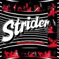 Cover-Bild zum Titel 'Misunderstood (Collector's Edition)' von 'Strider'