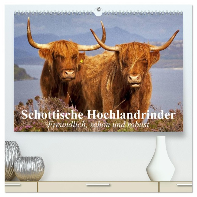 Schottische Hochlandrinder. Freundlich, schön und robust (hochwertiger Premium Wandkalender 2026 DIN A2 quer), Kunstdruck in Hochglanz - Elisabeth Stanzer