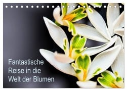 Cover-Bild zum Titel 'Fantastische Reise in die Welt der Blumen (Tischkalender 2026 DIN A5 quer), CALVENDO Monatskalender' von 'Anke Klöppel'