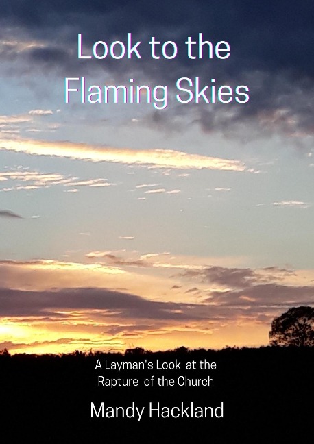 Look to the Flaming Skies (Choose Life!, #1) - Mandy Hackland