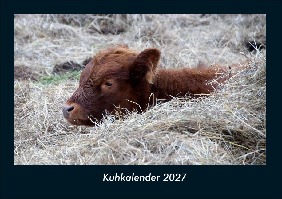 Kuhkalender 2027 Fotokalender DIN A4 - Tobias Schmitt, Kevin Heber