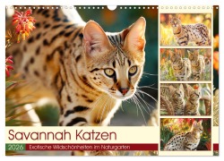 Cover-Bild zum Titel 'Savannah Katzen. Exotische Wildschönheiten im Naturgarten (Wandkalender 2026 DIN A3 quer), CALVENDO Monatskalender' von 'Rose Hurley'