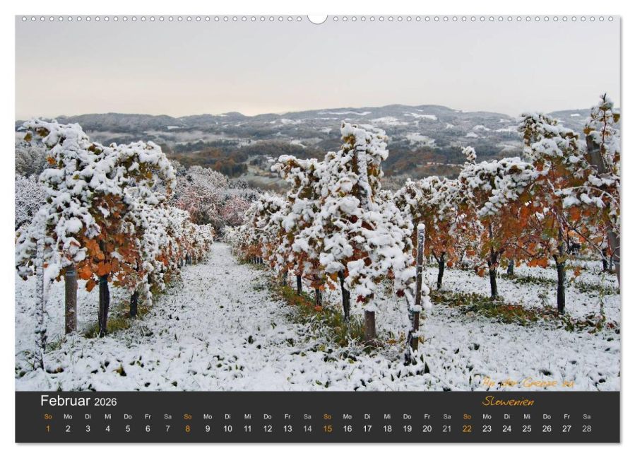 InsideView 6