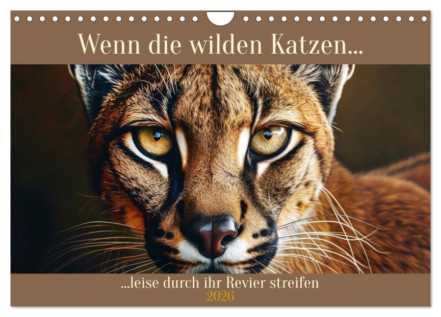 Wenn die wilden Katzen leise durch ihr Revier streifen (Wandkalender 2026 DIN A4 quer), CALVENDO Monatskalender - 