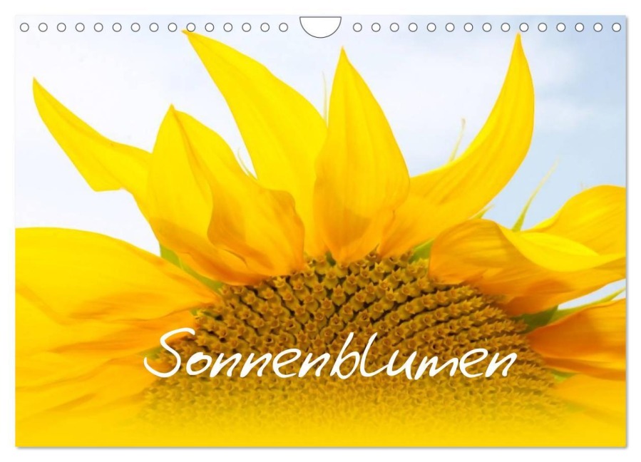 Sonnenblumen - die Blumen der Lebensfreude (Wandkalender 2026 DIN A4 quer), CALVENDO Monatskalender - Maria-Anna Ziehr