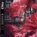 Everything Not Saved Will Be Lost Pt.1 - Foals