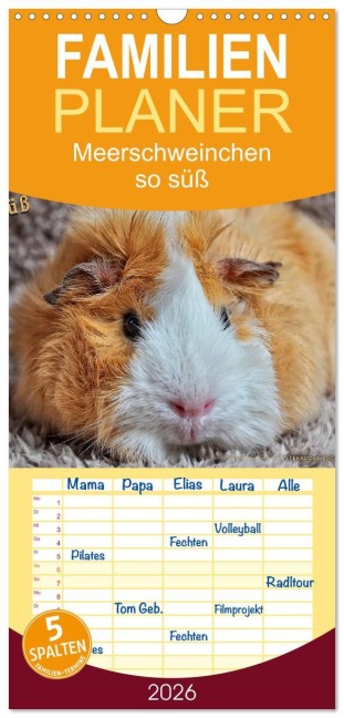 Familienplaner 2026 - Meerschweinchen - so süß mit 5 Spalten (Wandkalender, 21 x 45 cm) CALVENDO - Peter Roder