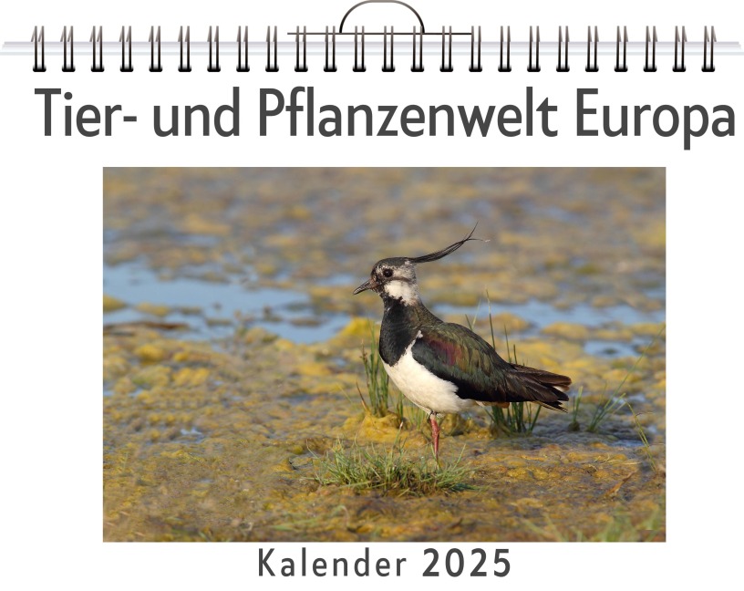 Tier- und Pflanzenwelt Europa - Julia Schmid