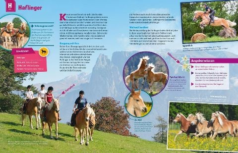 InsideView 11