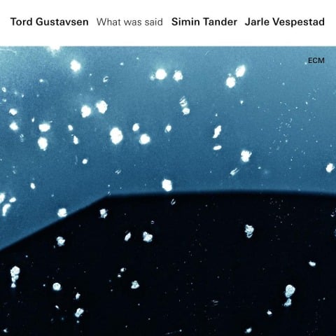 What Was Said - Tord/Tander Gustavsen