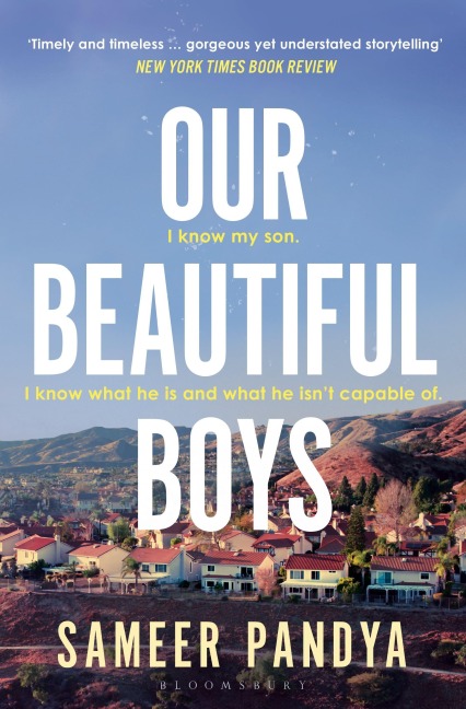 Our Beautiful Boys - Sameer Pandya