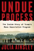 Cover-Bild zum Titel 'Undue Process' von 'Julia Ainsley'