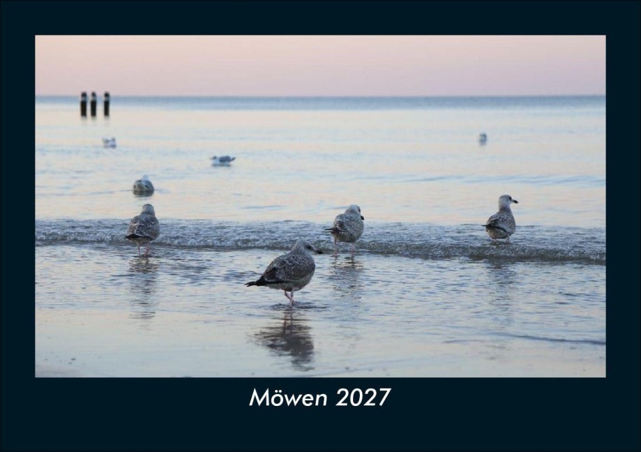 Möwen 2027 Fotokalender DIN A5 - Tobias Schmitt, Kevin Heber